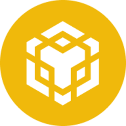 Binance Logo